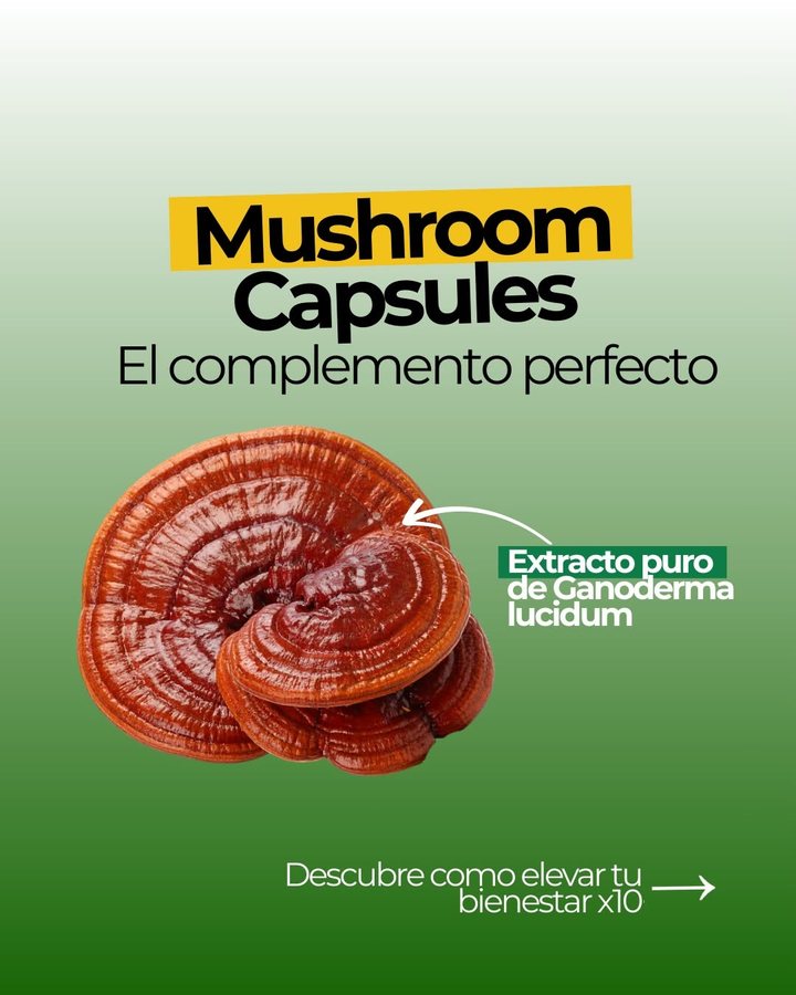 Mushroom Capsules, el complemento perfecto: extracto puro de Ganoderma lucidum